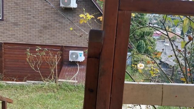 СОЧИ ГОРНОЕ ЛОО 26.09.2026