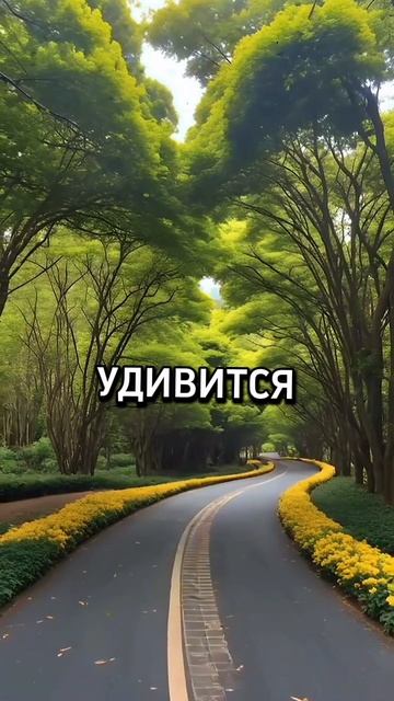 ГОРОСКОП ВОДОЛЕЙ 28 СЕНТЯБРЯ 4 ОКТЯБРЯ