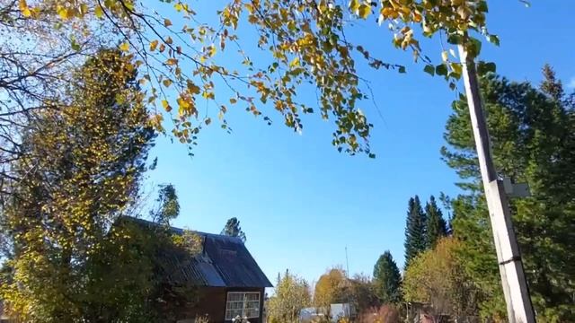 Последняя любовь.На даче .Водораздел .Красноярск