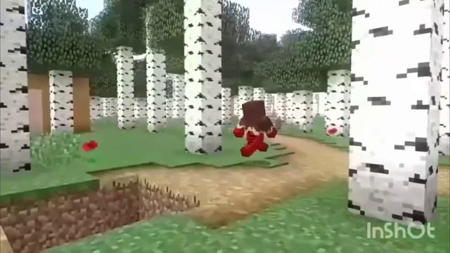 20 ⅕