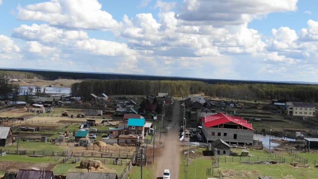 ВСЕ ПЛАКАЛИ КОГДА УВИДЕЛИ ЧТО ЗВЕРЬ ПРИНЁС В ЗУБАХ
