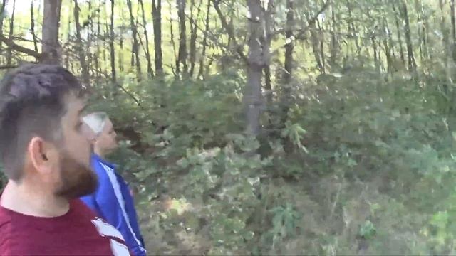 Грибучий случай или спонтанная поездка за грибами.