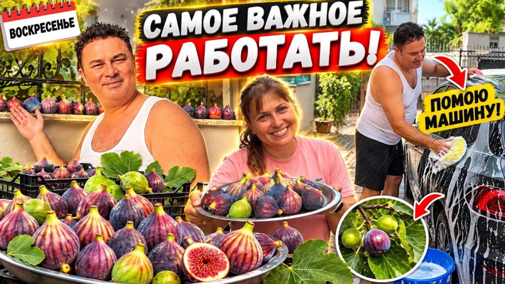 Воскресенье что делать собираю инжир помою машину🫣🫣🫣‼️‼️ живу в раю