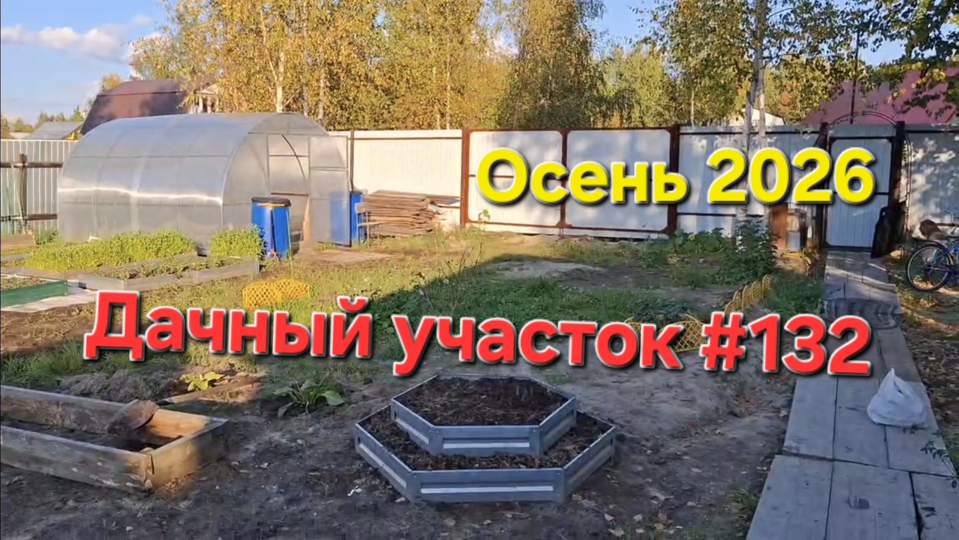 Дачный участок №132 | Как подготовить теплицу и грядки к зиме? Сажаем сидераты и цветы
