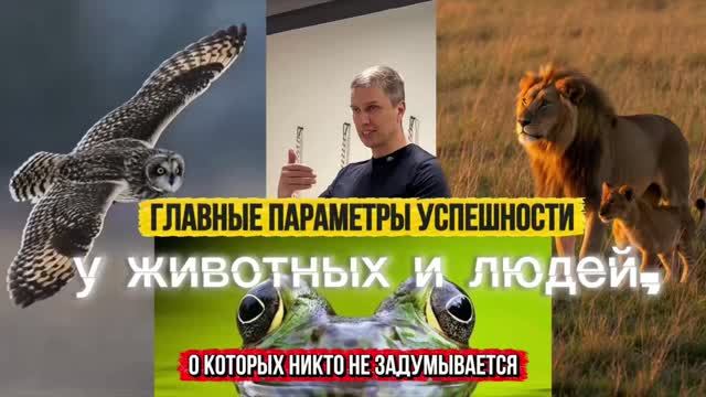 Здоровье в природе