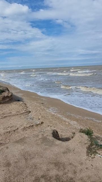 Буря мглою
