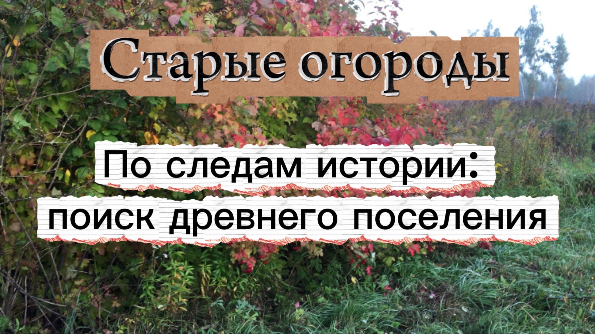 Напросился на огороды и покос. Впервые в этих местах с МД. Разведка древнего поселения.