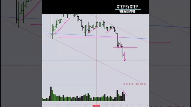 STEP By STEP чтение баров 1.1