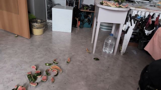 VID_20260924_073743 исправляйте ошибки