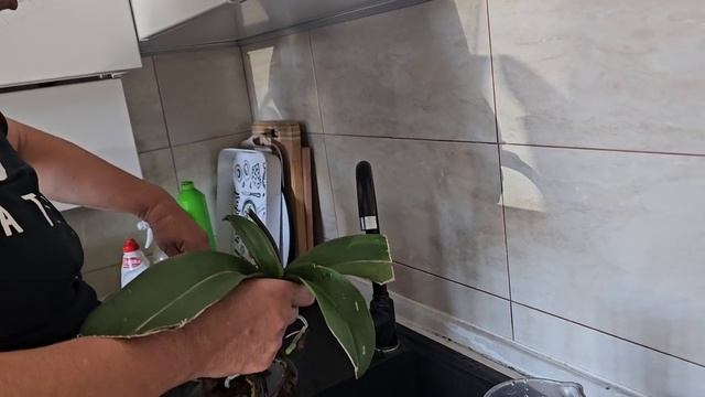 Кто будет пробовать грибы.