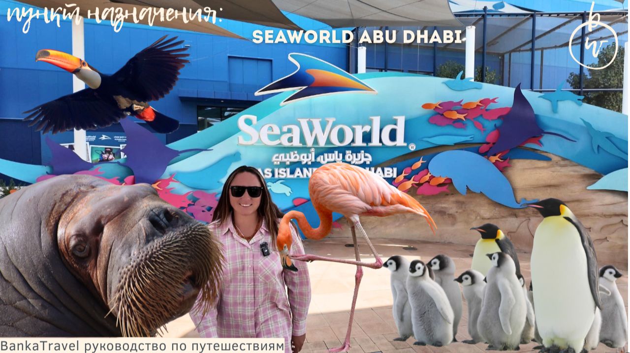 Акула, манта и дюгонь в одном месте! SeaWorld Abu Dhabi на острове Яс | Обзор