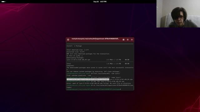 Лабораторная работа №4