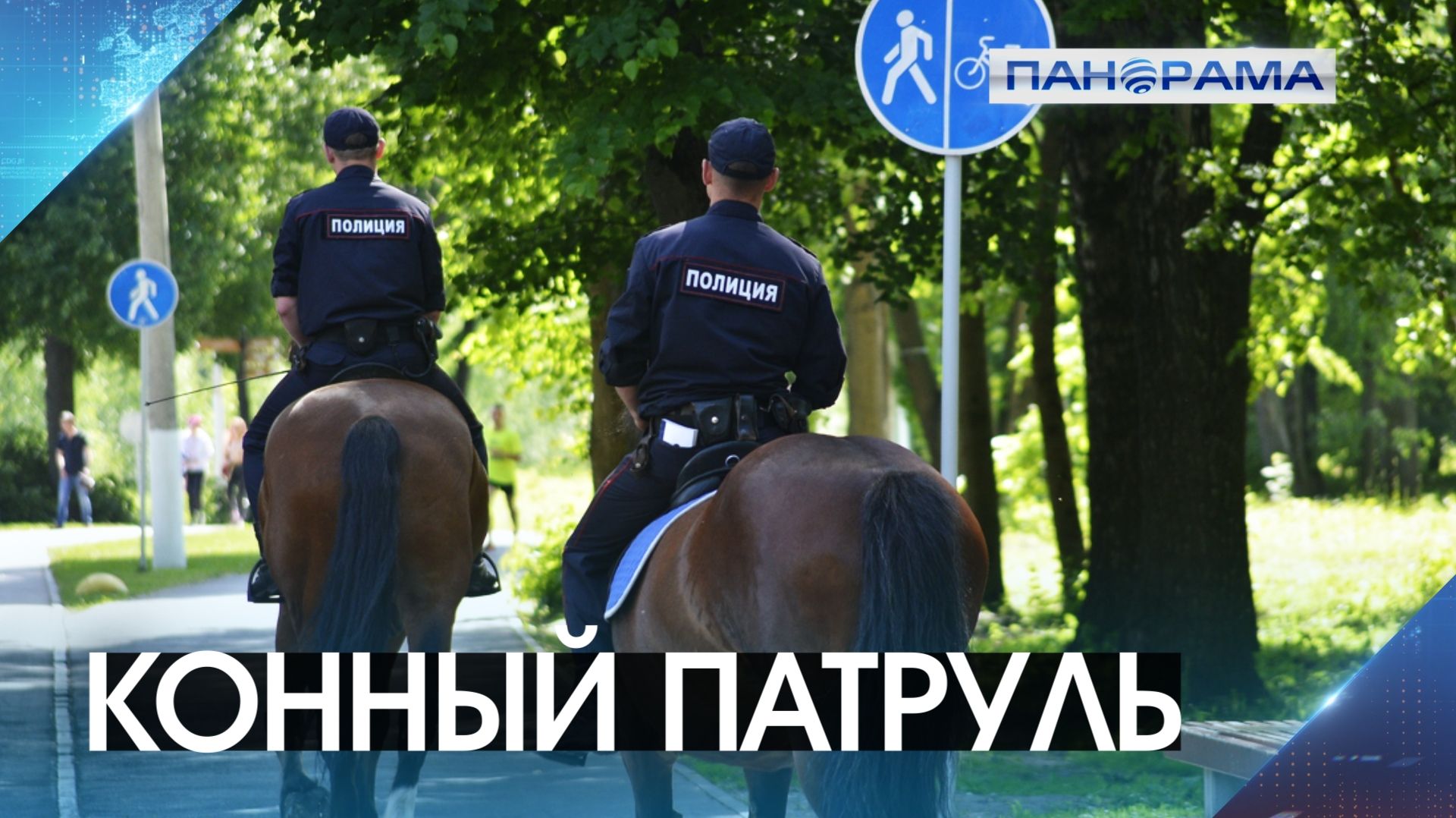 Всадники патрулируют центр Донецка! В чём особенность работы кавалерийского взвода МВД?