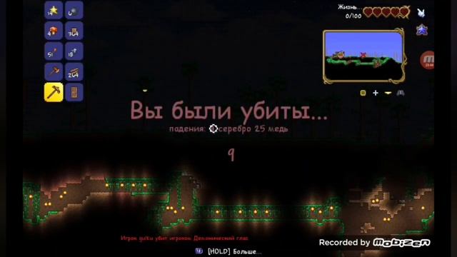 Terraria
