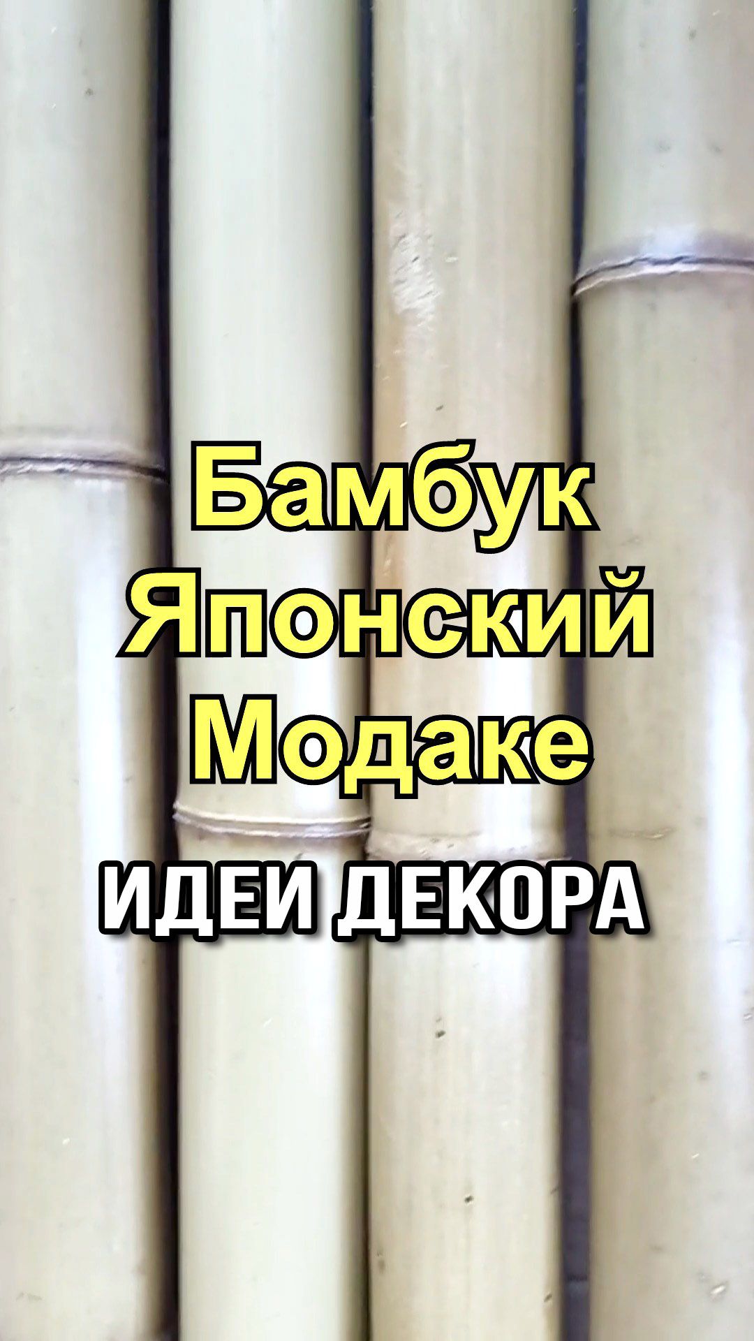 Японский бамбук Мадаке — красивый и натуральный материал для интерьера