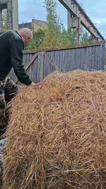 Терпение и труд всё перетрут