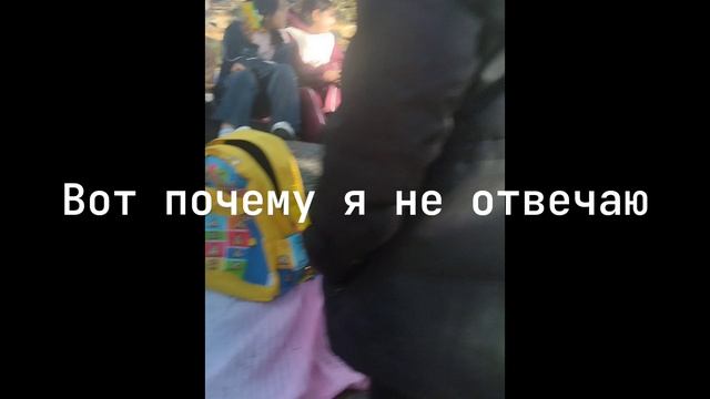 Путешествие в Петрогроме 😎🙀