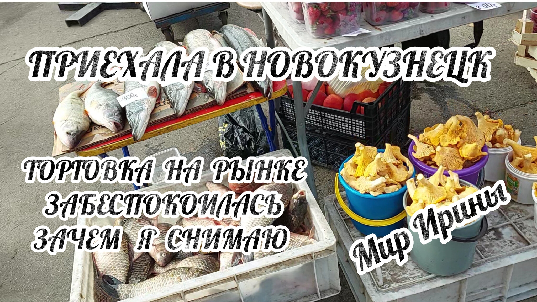 27-09-2026. ТОРГОВКА НА РЫНКЕ ЗАБЕСПОКОИЛАСЬ ЗАЧЕМ Я СНИМАЮ | ПРИЕХАЛА В НОВОКУЗНЕЦК ●●●