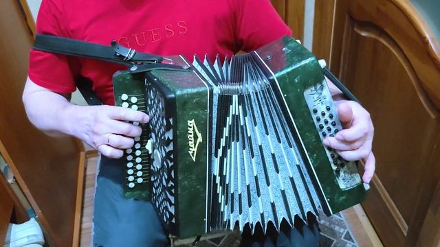 Чайка пела и плясала ! после ремонта и настройки гармонь от мастера 3 аккорда 300 песен