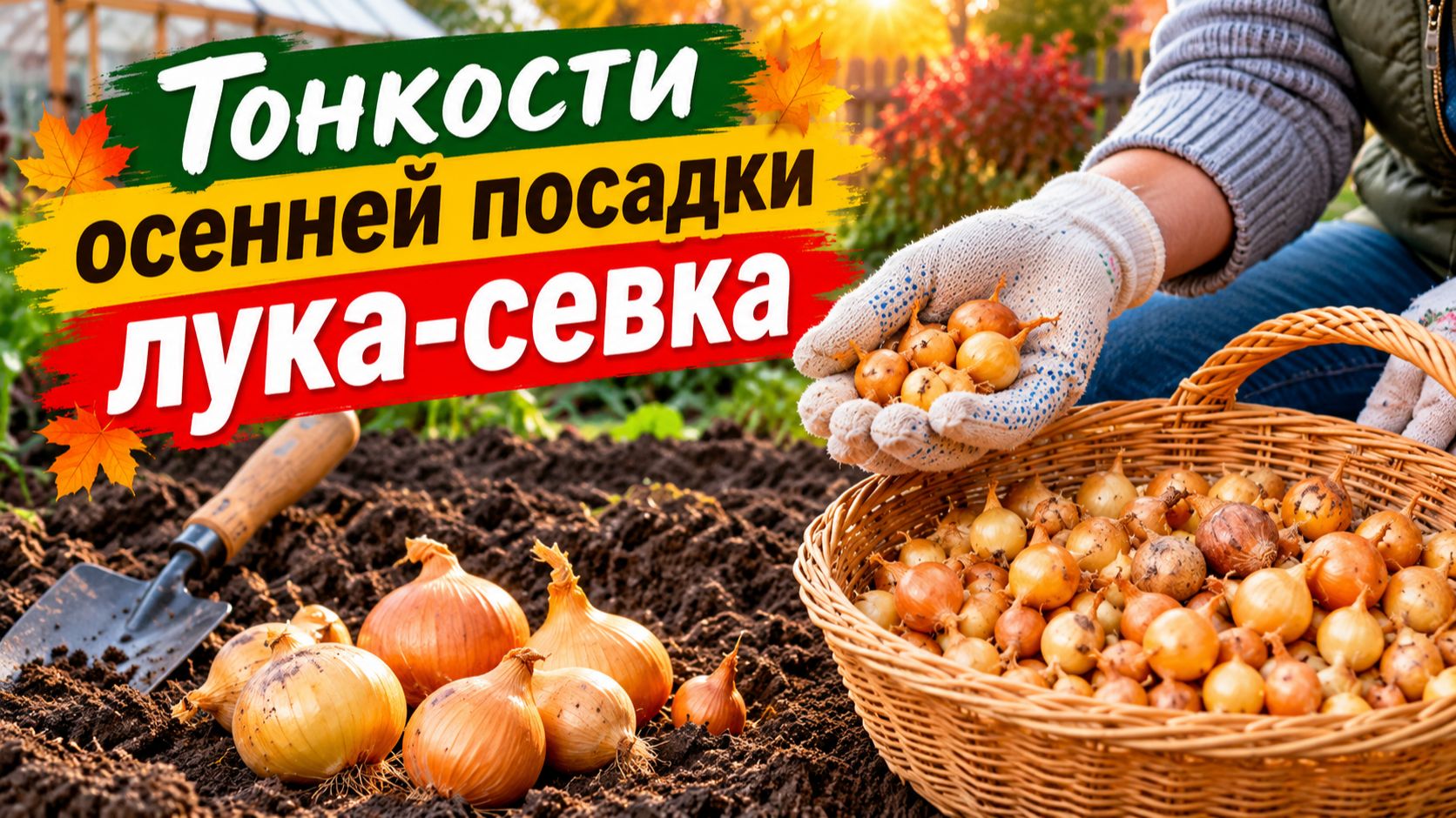 Осенняя посадка лука. Как это сделать правильно.