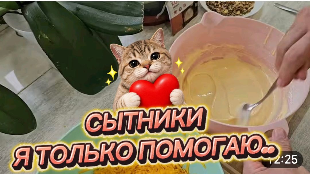 САМВЕЛ АДАМЯН, СЫТНИКИ, Я ТОЛЬКО ПОМОГАЮ..