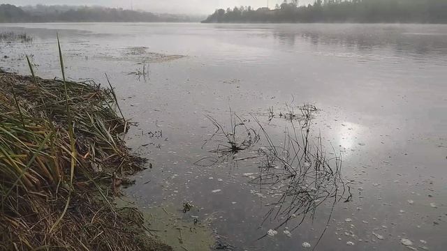 ⚓р Ока.Утро туманное.27.09.2026г.