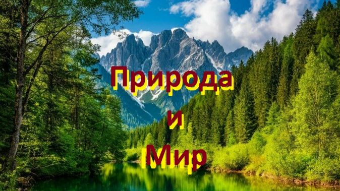 Природа и Мир. Россия. Заповедники. ПриокскоТеррасный.