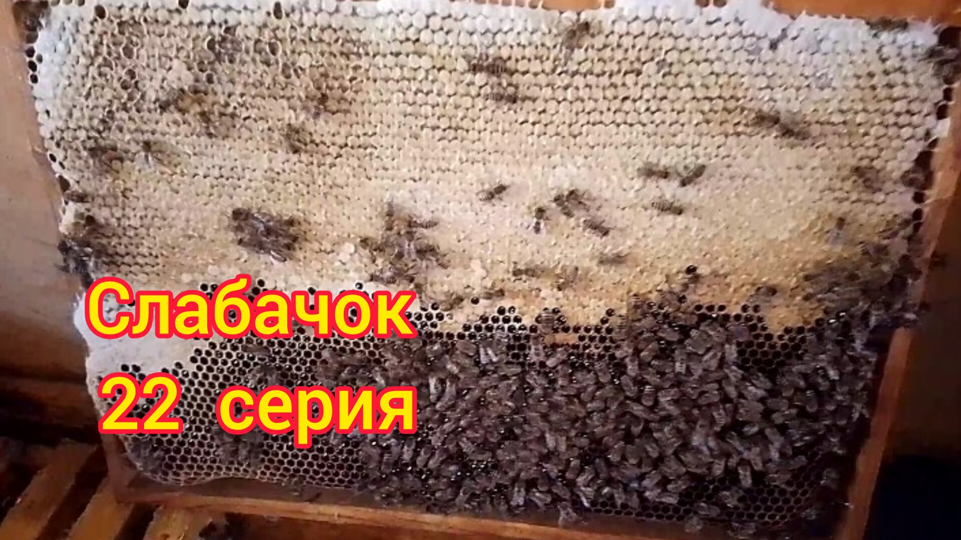Слабачок, 22 серия