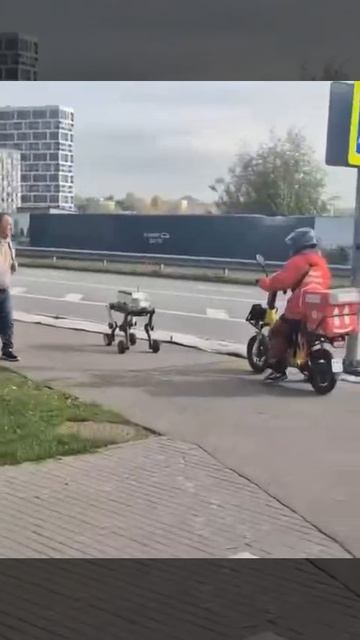 В Москве заметили первую патрульную робособаку — ее засняли в районе Покровское-Стрешнево.