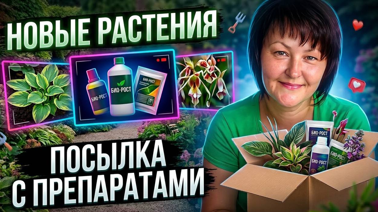 Получила препараты, магазин, доставка, цены. Новая хризантема и гортензии