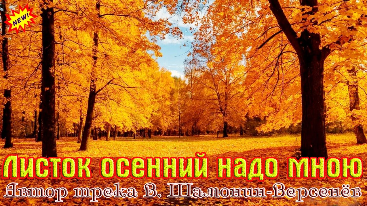 Премьера! Песня в Душу! ЛИСТОК ОСЕННИЙ НАДО МНОЮ - автор трека ВИКТОР ШАМОНИН_ВЕРСЕНЁВ