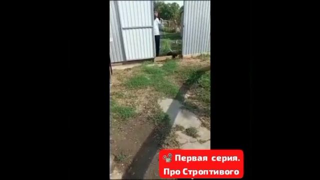 🐎Первая серия 