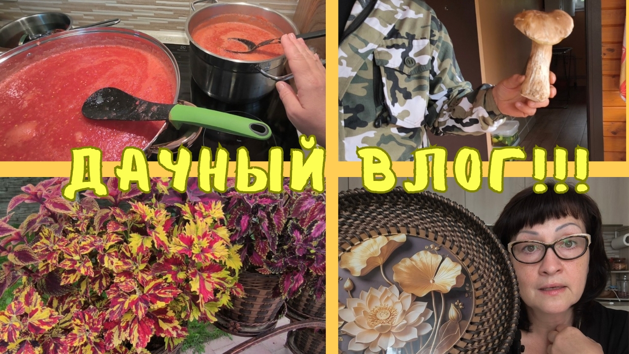 Дачный влог: заготовки, стройка, черенкую колеусы 🤗👍!