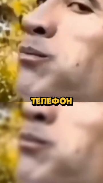 душнила