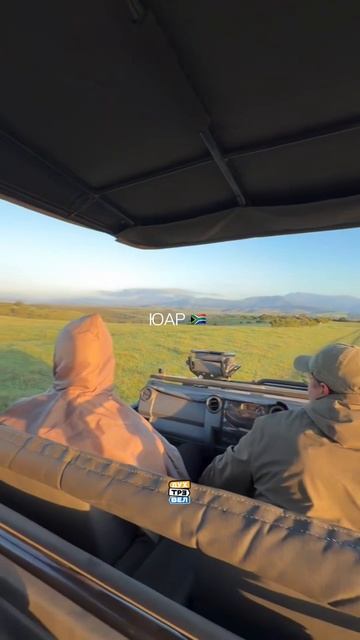 🇿🇦