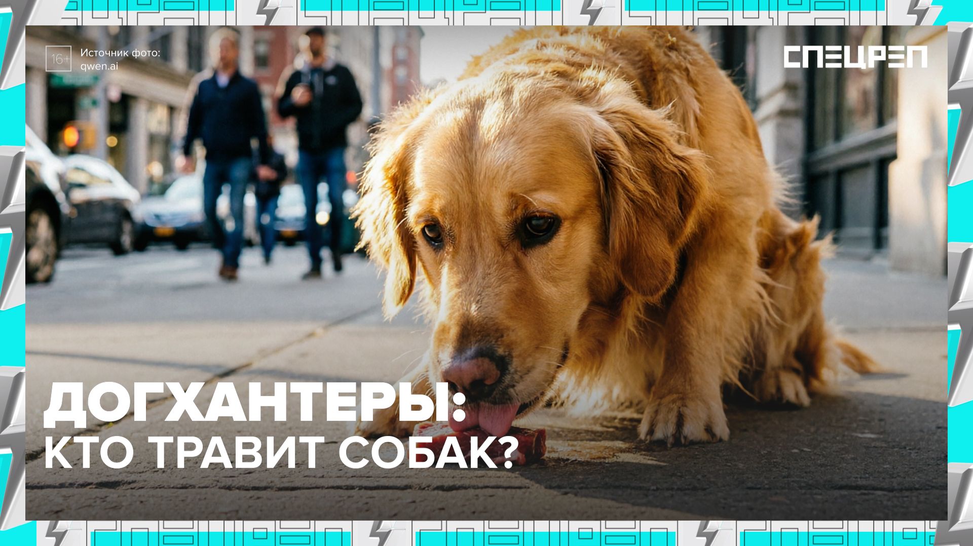 Догхантеры: кто и зачем травит собак | Специальный репортаж