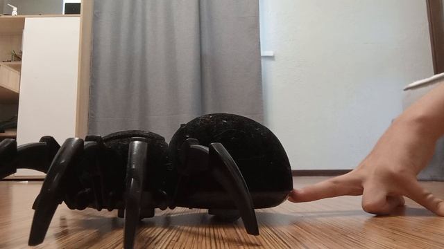 Художественный фильм 