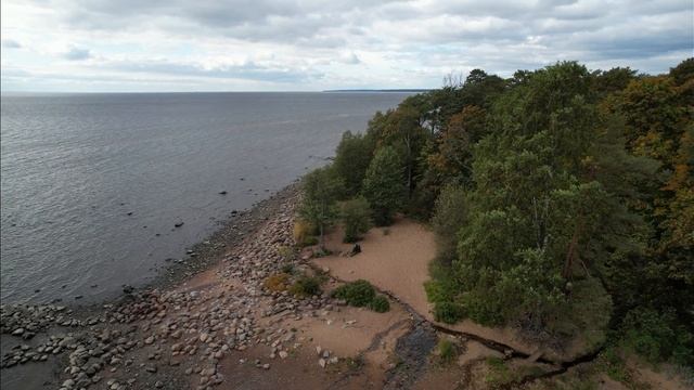Прогулки зелёного медвежонка. №85, Зеленогорск, 18.09.2021