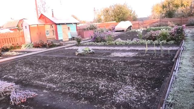 Заморозок 27 сентября