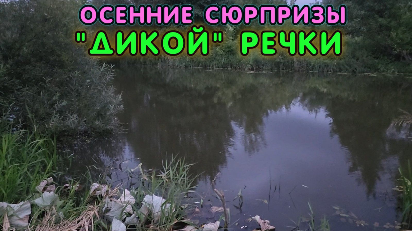 🔥Дикая речка и осенние сюрпризы! Рыбалка на червя на тайной реке в Мордовии. Разведчики рыбаки!