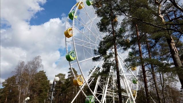 Прогулки зелёного медвежонка. №76, Зеленогорск, 01.05.2021