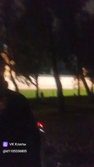 Винегрет Роман Соколов