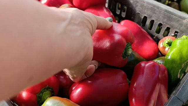 Всё. Томатный 🍅 сезон, закрыли.