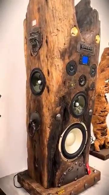 Аудиофильская моно-система класса Hi-Fi