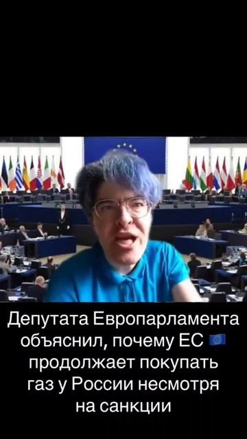 Депутат европарламента объяснил, почему ЕС продолжает покупать газ у РФ