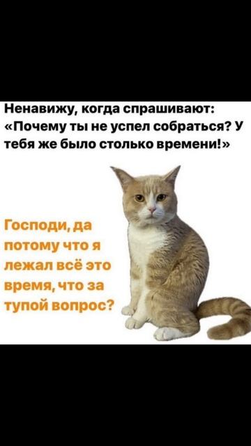 Работник гардероба) Приколы