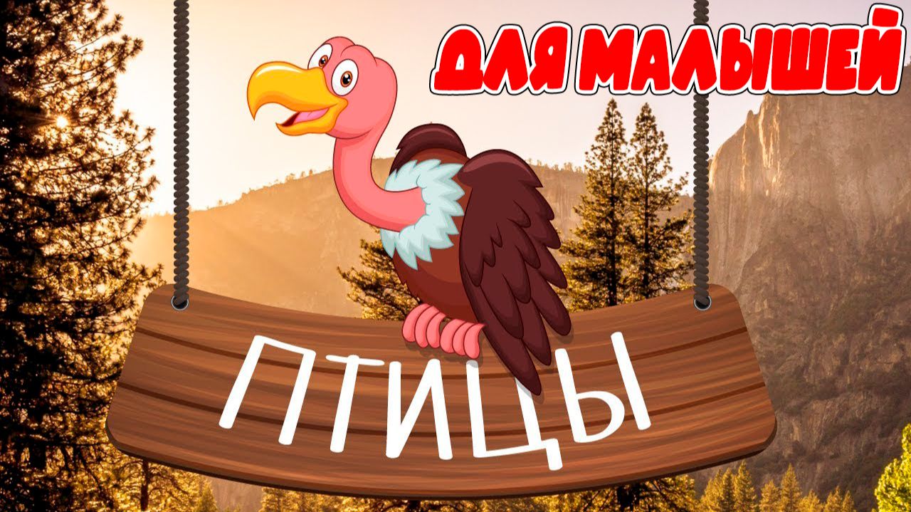 ПТИЦЫ ДЛЯ ДЕТЕЙ - Развивающие мультики для малышей | Учим животных вместе!