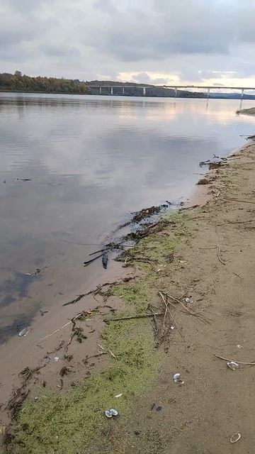 ⚓р Ока.В сентябре 2026года.