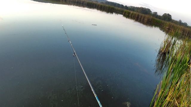 Ловля Ротана на Мормышинг🎣 Приманка Javastic. Мормышка 0,2 грамма. Клев хороший👍