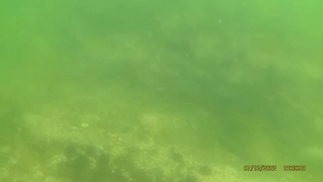 12 07 22  Мутные волы Уссурийского залива